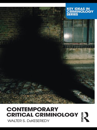 Contemporary Critical Criminology (Key Ideas in Criminology)