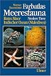 Farbatlas Meeresfauna. Rotes Meer, Indischer Ozean (Malediven): Farbatlas Meeresfauna, 2 Bde., Bd.1, Niedere Tiere: Niedere Tiere. Rotes Meer, Indischer Ozean (Malediven)