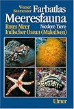 Farbatlas Meeresfauna. Rotes Meer, Indischer Ozean (Malediven): Farbatlas Meeresfauna, 2 Bde., Bd.1, Niedere Tiere: Niedere Tiere. Rotes Meer, Indischer Ozean (Malediven)