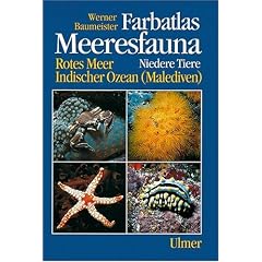 Farbatlas Meeresfauna. Rotes Meer, Indischer Ozean (Malediven): Farbatlas Meeresfauna, 2 Bde., Bd.1, Niedere Tiere: Niedere Tiere. Rotes Meer, Indischer Ozean (Malediven)