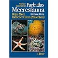 Farbatlas Meeresfauna. Rotes Meer, Indischer Ozean (Malediven): Farbatlas Meeresfauna, 2 Bde., Bd.1, Niedere Tiere: Niedere Tiere. Rotes Meer, Indischer Ozean (Malediven)