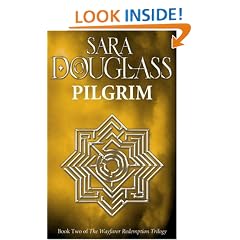 Pilgrim (Wayfarer Redemption)