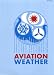 Books : Aviation Weather