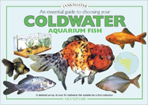 An Essential Guide to Choosing Your Cold Water 