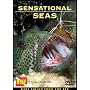 Sensational Seas DVD - Rare Sights From The Sea