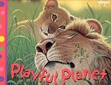Playful Planet (Pop-Up Books (Book Company))