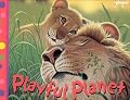 Playful Planet (Pop-Up Books)