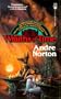 Wraiths of Time (Tor Fantasy)
