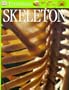 Skeleton (Eyewitness Guides)
