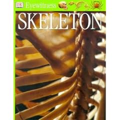 Skeleton (Eyewitness)
