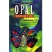 Opal Identification & Value (Rocks, Minerals and Gemstones)