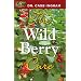 The Wild Berry Cure