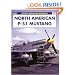 North American P-51 Mustang (Osprey Modelling Manuals 19)