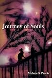 Journey of Souls (The Mortality Series)