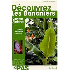 D�couvrez les bananiers et Alpinia, Canna, Curcuma, Etlingera, Hedychium, Heliconia, Ravenela, Strelitzia, Thalia, Zingiber