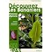 D�couvrez les bananiers et Alpinia, Canna, Curcuma, Etlingera, Hedychium, Heliconia, Ravenela, Strelitzia, Thalia, Zingiber