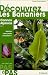 Découvrez les bananiers et Alpinia, Canna, Curcuma, Etlingera, Hedychium, Heliconia, Ravenela, Strelitzia, Thalia, Zingiber