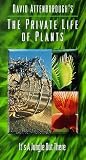 Private Life of Plants 6: Jungle Out There