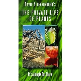 Private Life of Plants 6: Jungle Out There [VHS]