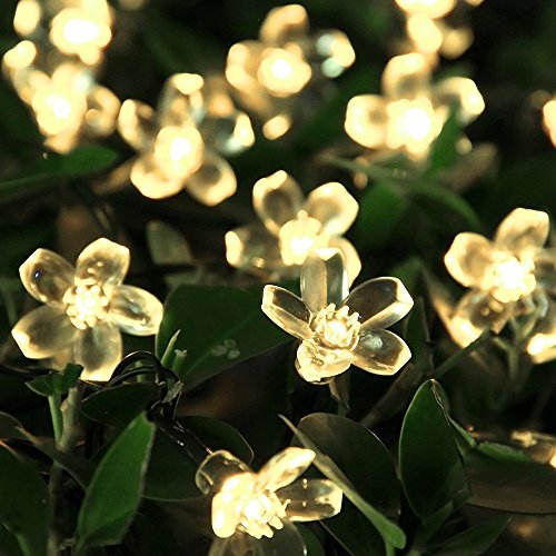 MAXCURY Outdoor Solar String Lights 21ft 50 Led Blossom Flower Fairy Light for Garden Patio Wedding Party Bedroom Christmas Decoration (Warm White)