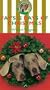Fay's 12 Days of Christmas [VHS]