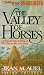 Book The Valley of Horses