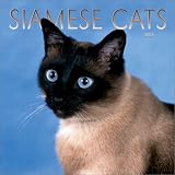 Siamese Cats: 2003