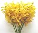 Fresh Flowers - Yellow Mokara Orchids