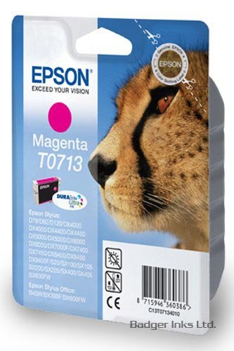Epson Original Magenta Ink Cartridge for Epson