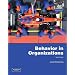 Behavior in Organizations