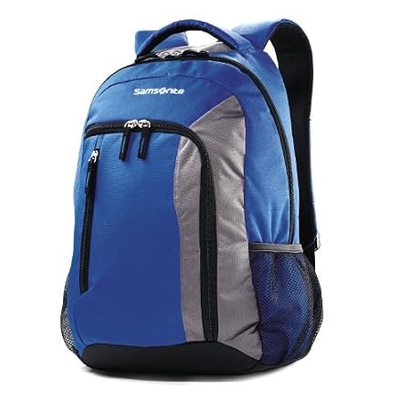 Samsonite Wander Warwick Backpack