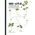 植物の自然史―多様性の進化学