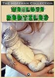 We Love Reptiles