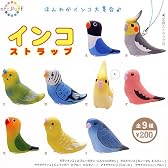 カプセル ntc.Puff インコストラップ オカメインコ2種入り7種セットB