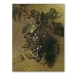 A Bunch of Grapes Hanging on a Wall - 2-sided Gift Tags (set of 6)
