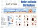 Gulf Shores - Oceans and Lighthouses - Peel & Stick - 37 Wall Stickers / Decals