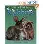 Rabbits (Usborne First Pets)