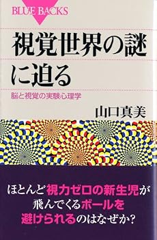 視覚世界の謎に迫る (ブルーバックス)