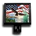 America From Coast to Coast Premium Decorative Night Light