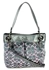 Coach Ashley 3 Color Signature Hippie Shoulder Crossbody Bag, Style 18453 Grey Pink