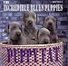 Music Tracks : Puppy Fat