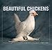Beautiful Chickens