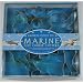 Fox Run Marine Life Cookie Cutter Set