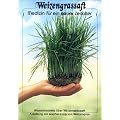 Weizengrassaft
