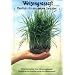 Weizengrassaft
