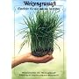 Weizengrassaft