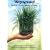 Weizengrassaft