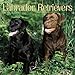 Labrador Retrievers 2005 Wall Calendar