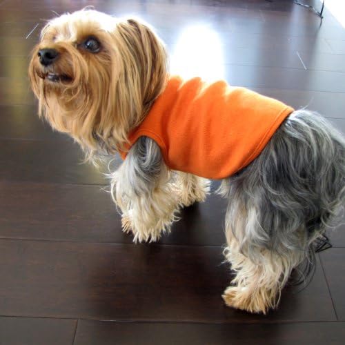 Juicy Orange Dog Shirt Medium