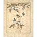 (16x20) Butterfly (Asian Lotus Series 2 ) Art Print Poster